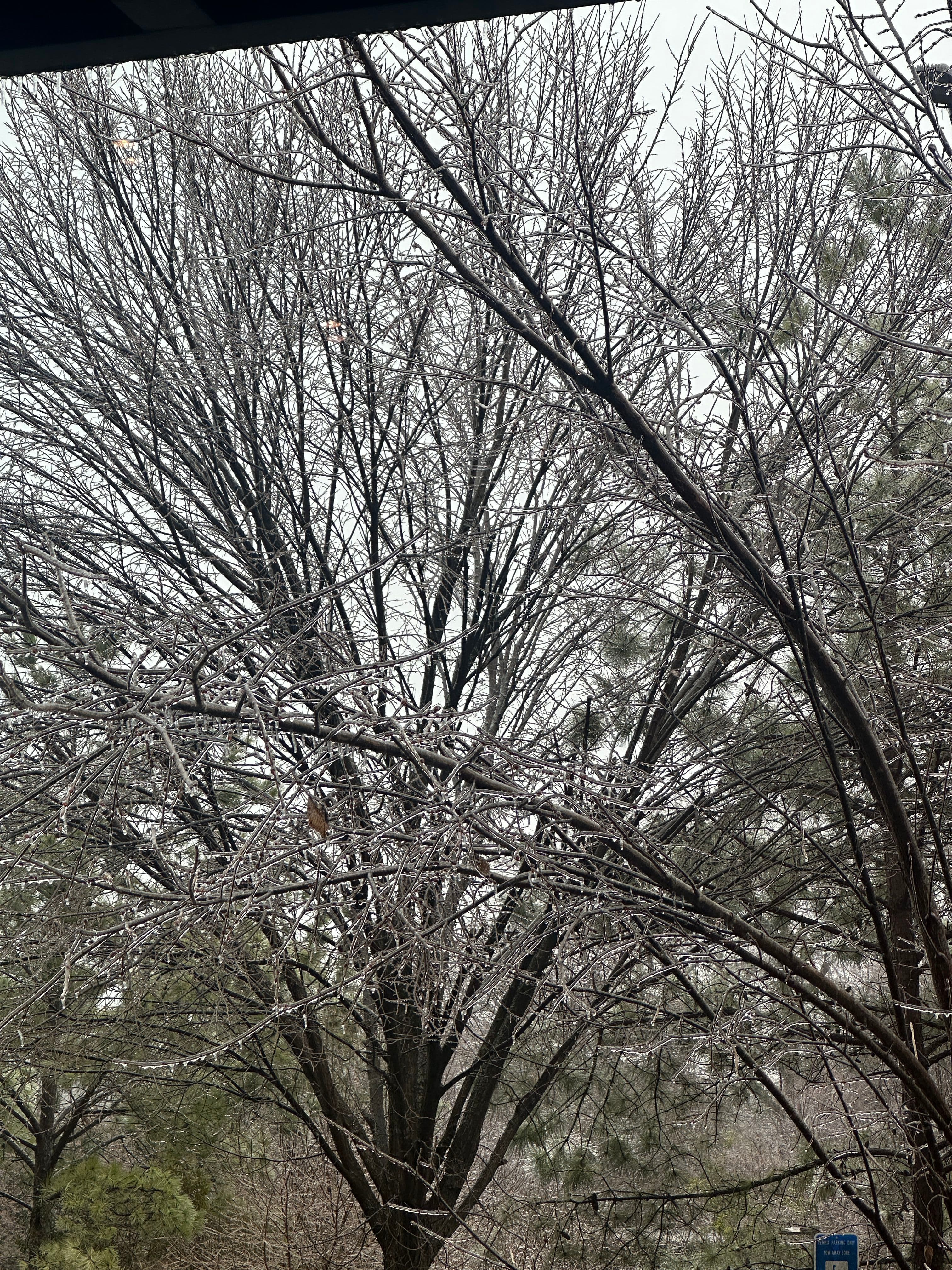 Project Stay Warm with ESAR Garage Solutions as Winter Arrives image