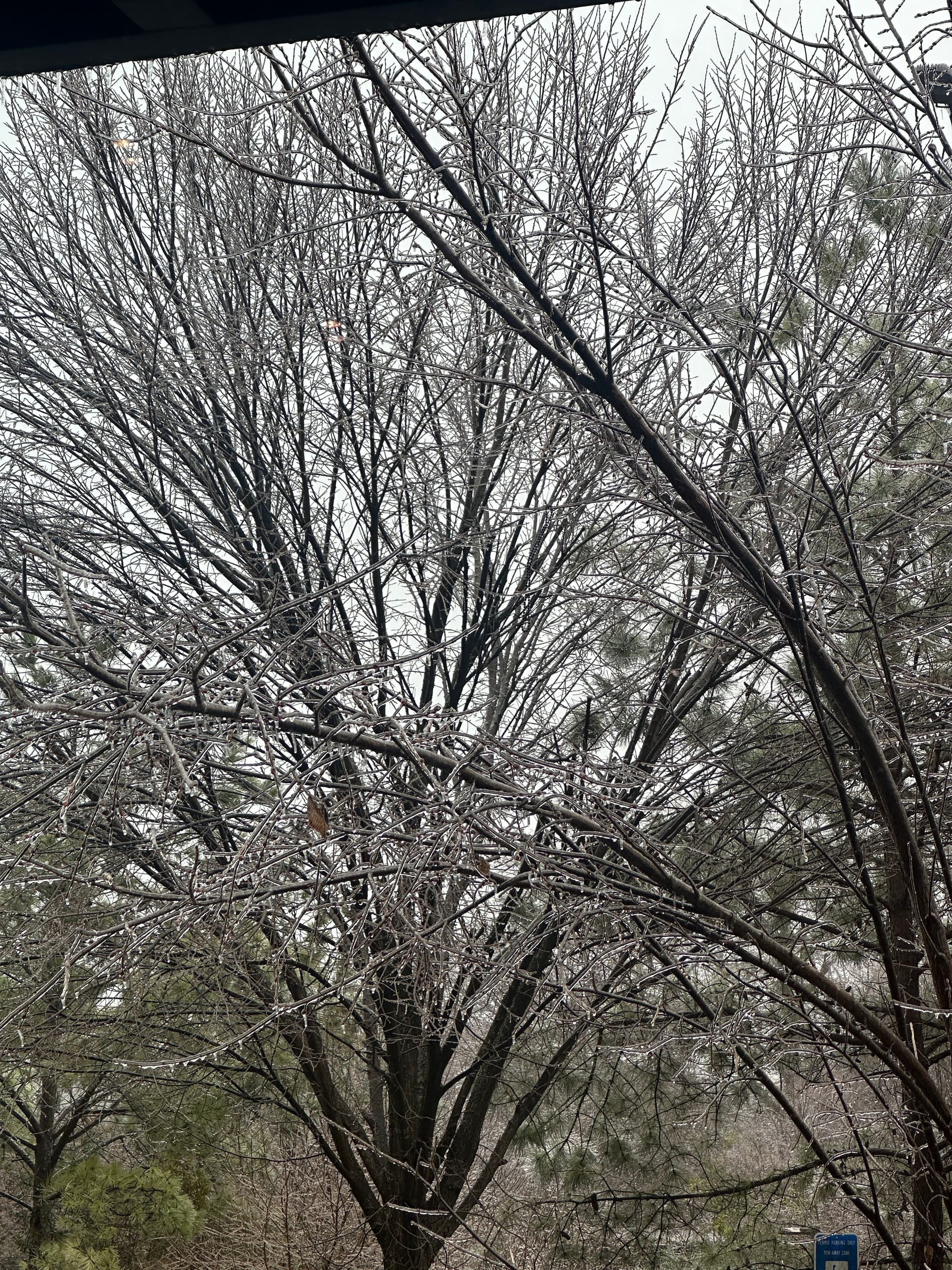 Stay Warm with ESAR Garage Solutions as Winter Arrives image