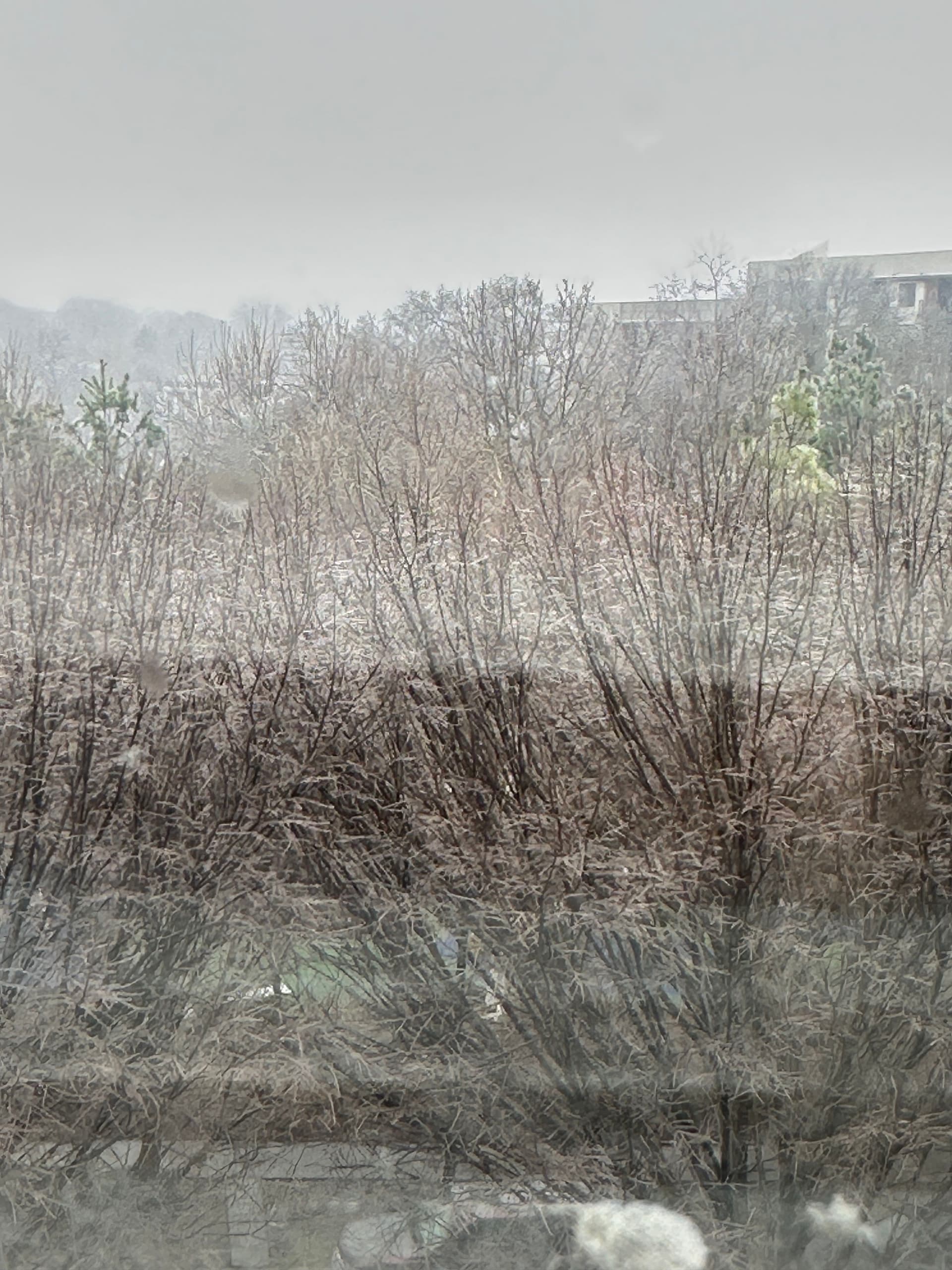 Gallery photos for Stay Warm with ESAR Garage Solutions as Winter Arrives: Image #3